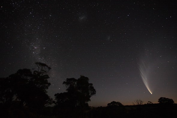 Comet Mcnaught