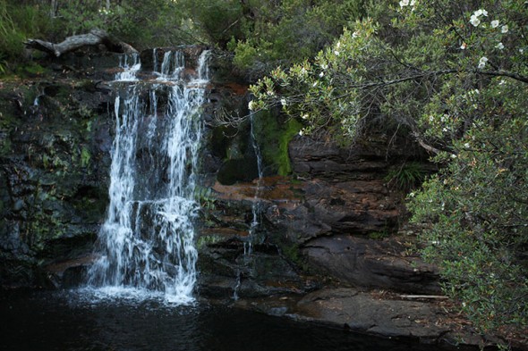 Kia Ora Falls